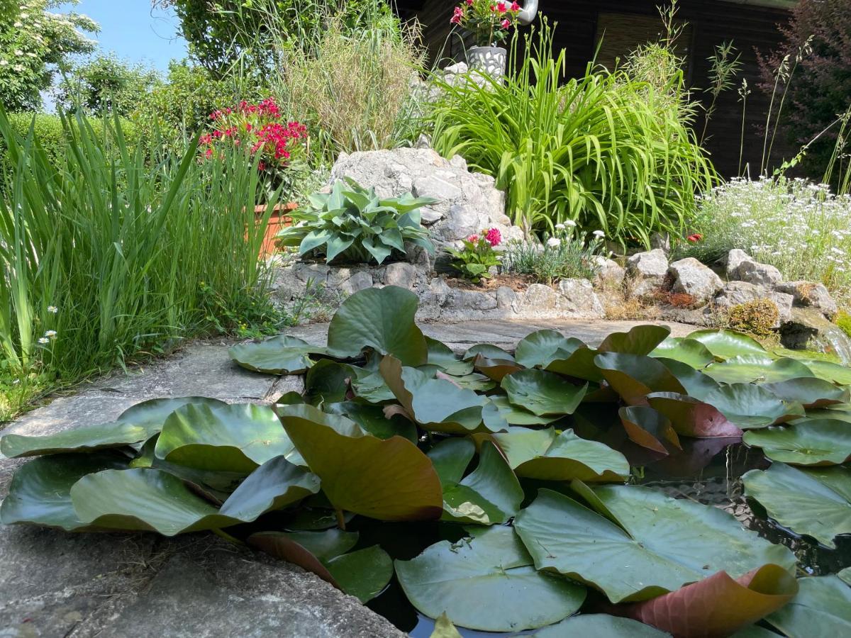 Green Oasis Garden Sencur Luaran gambar