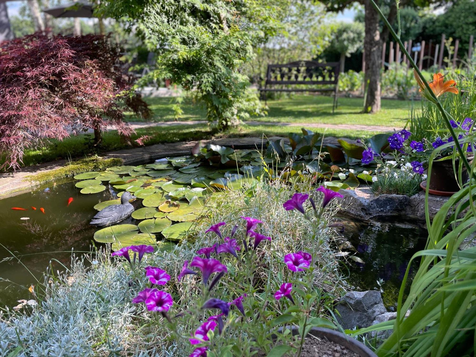 Green Oasis Garden Sencur Luaran gambar