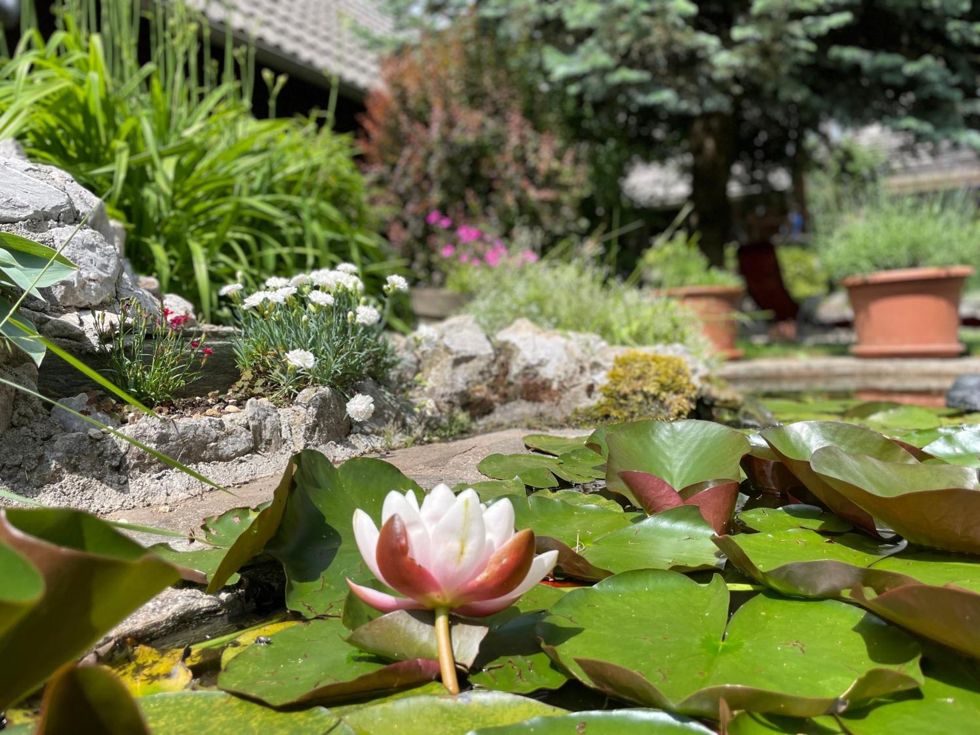 Green Oasis Garden Sencur Luaran gambar