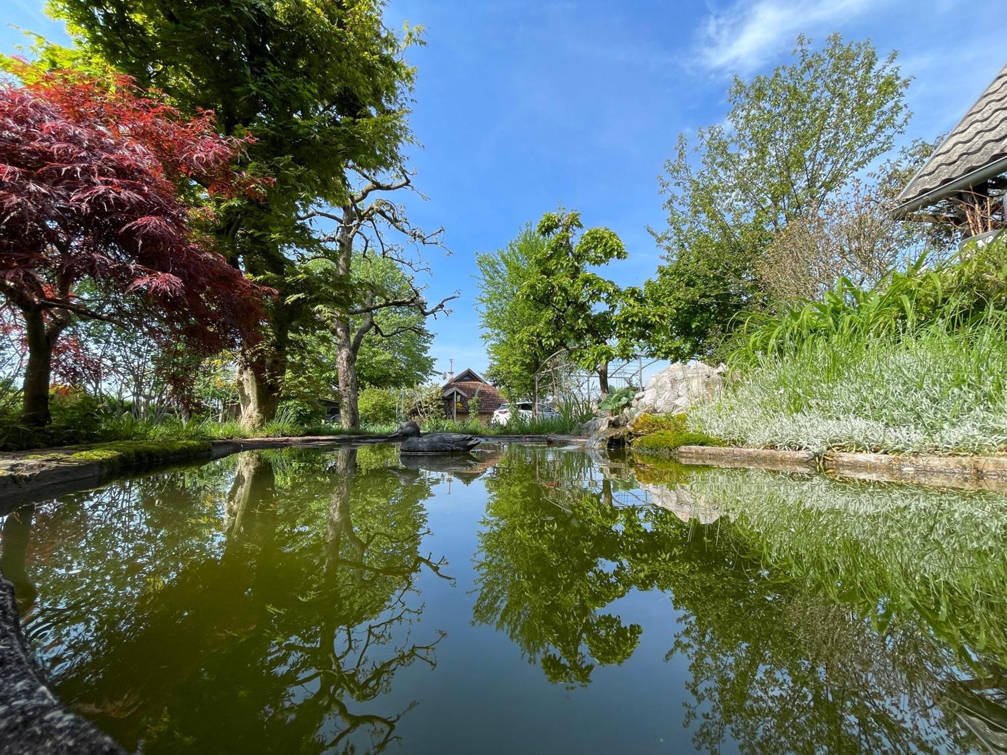 Green Oasis Garden Sencur Luaran gambar