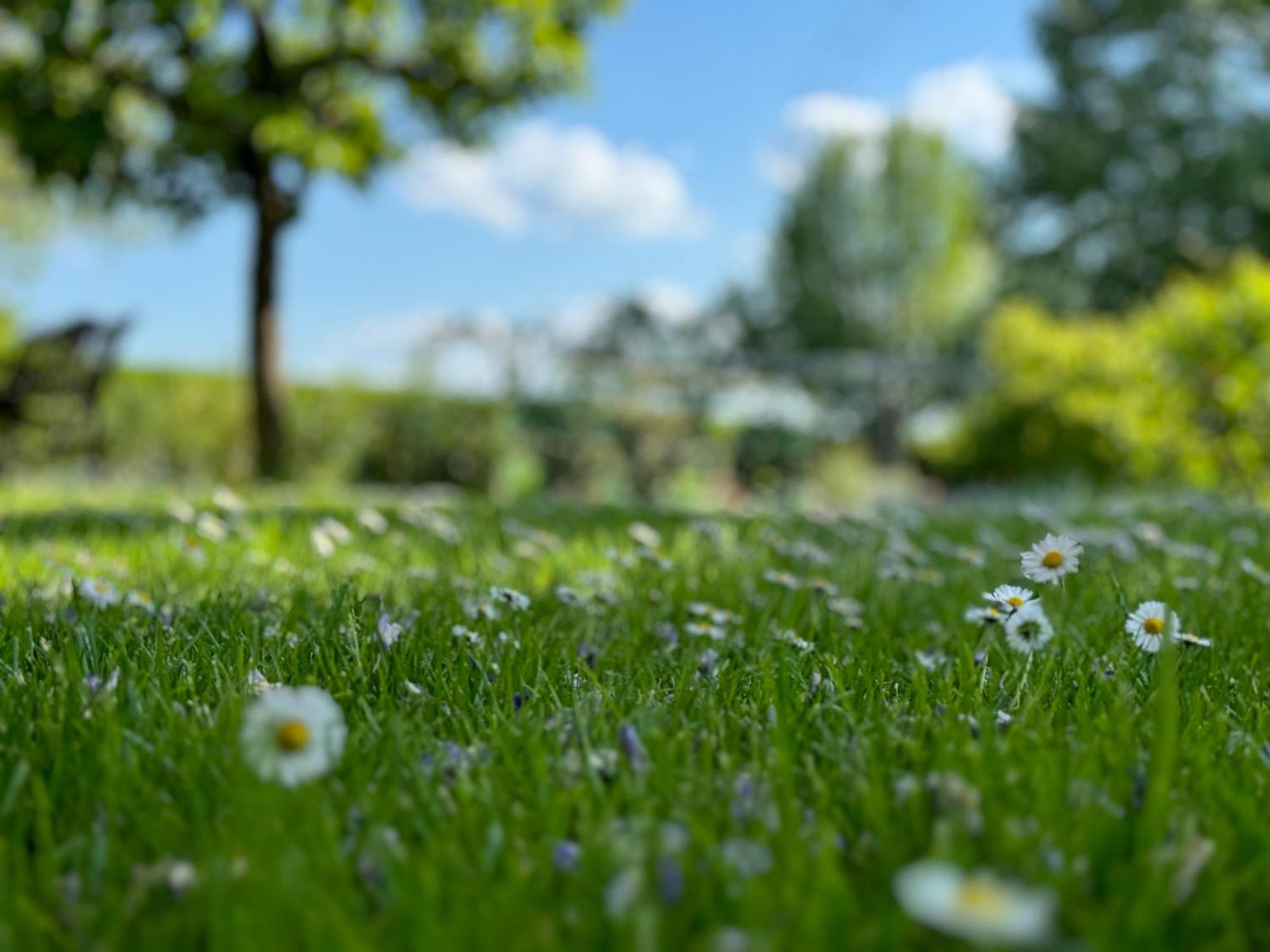 Green Oasis Garden Sencur Luaran gambar
