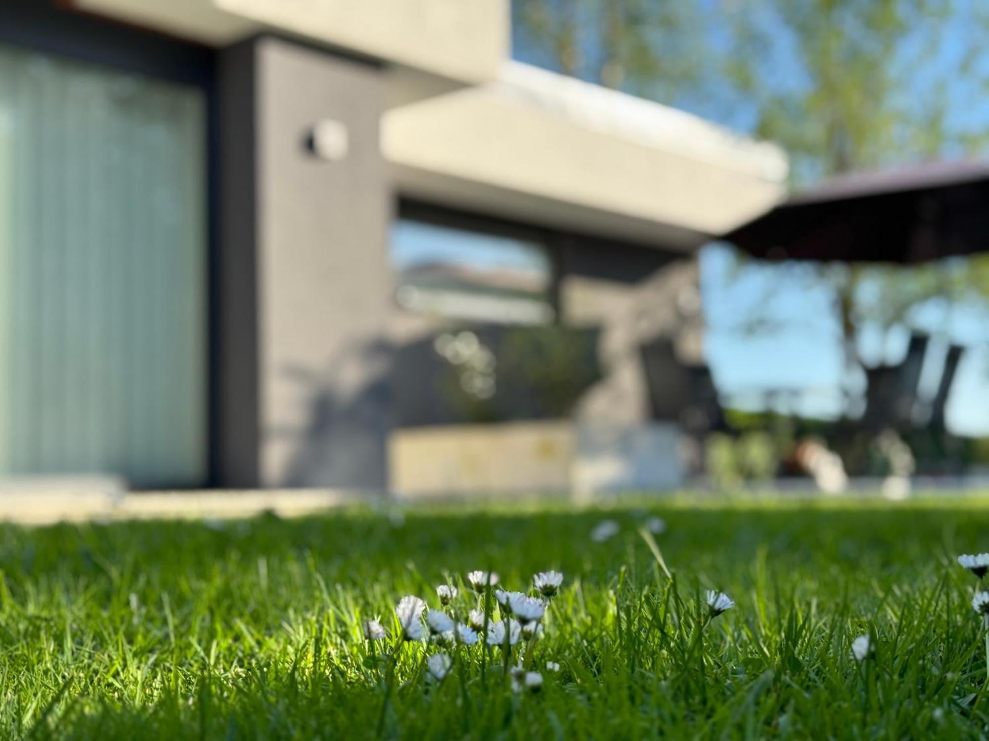 Green Oasis Garden Sencur Luaran gambar
