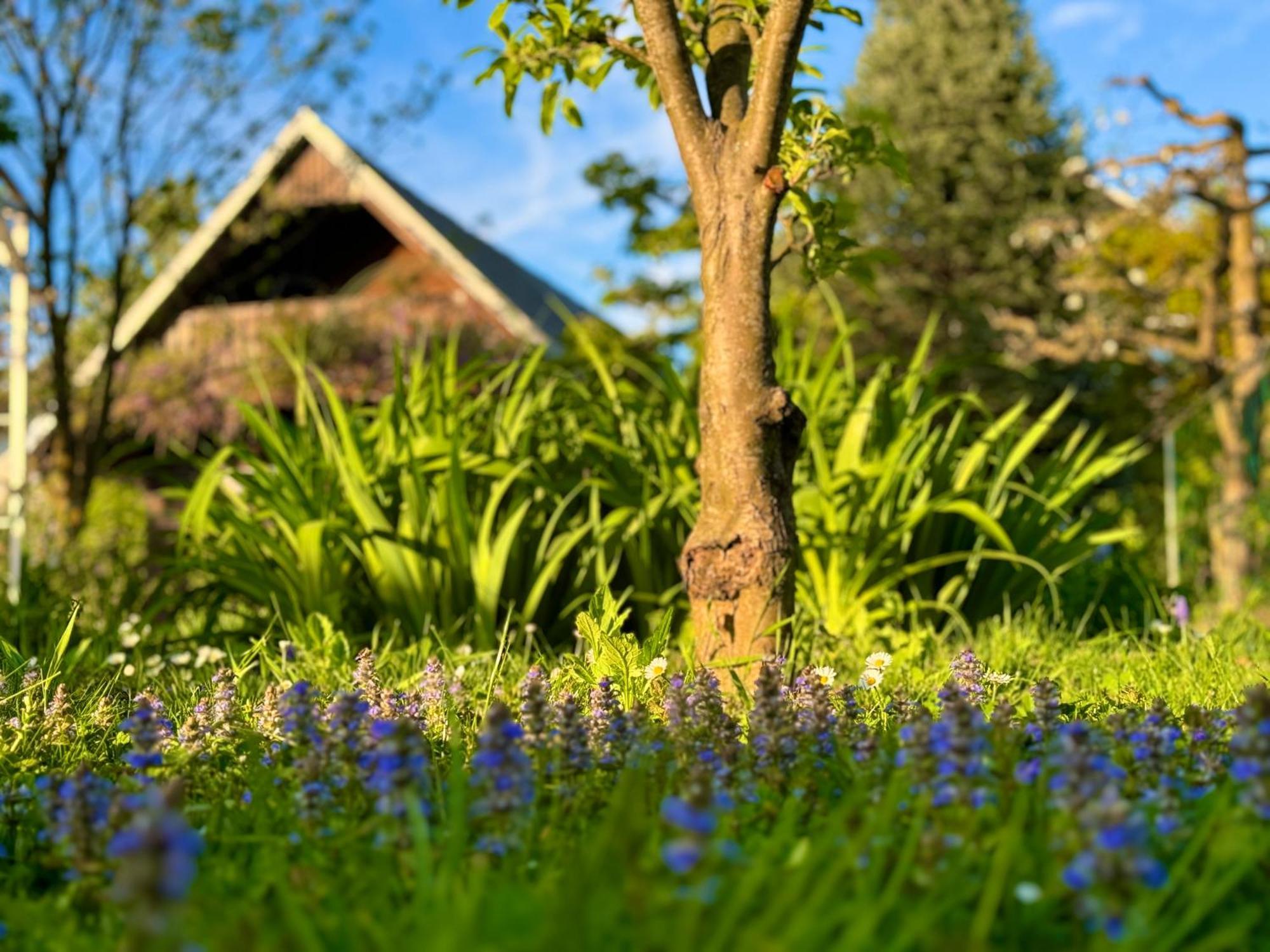Green Oasis Garden Sencur Luaran gambar