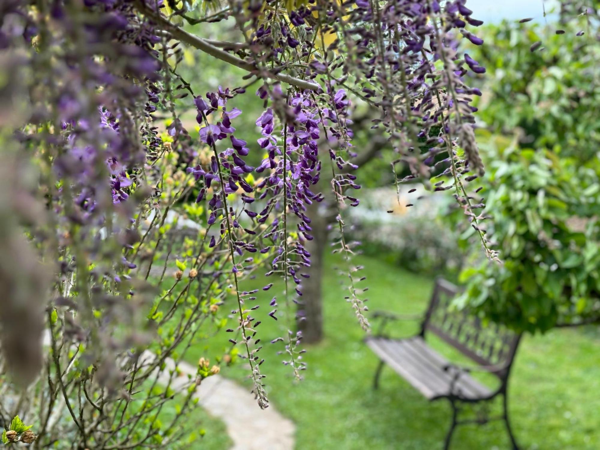 Green Oasis Garden Sencur Luaran gambar